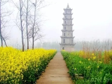 春暖花開南洞庭踏青、云夢七色花洲一日游  