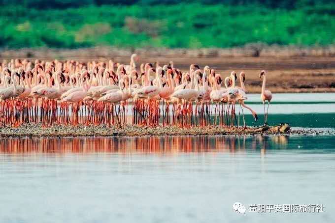 發(fā)現(xiàn)非洲體驗(yàn)之旅肯尼亞10游