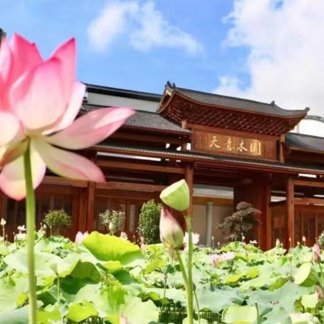 益陽(yáng)天意木國(guó)木文化博物館、金家堤、一碑五館一日游